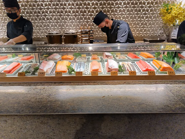 鮭魚 鮪魚 旗魚 海鱺鰹魚 日本鰤魚