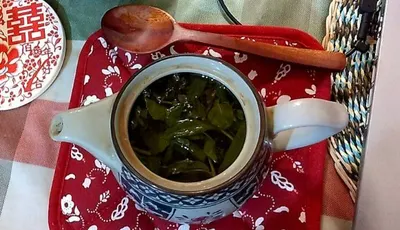 Celine Wu的德拉茉思克沙龍