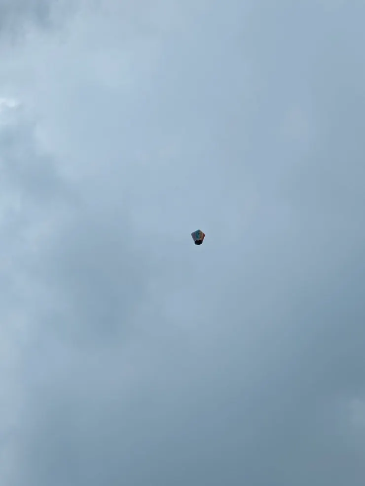 300元就這樣飛走了