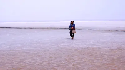 尤秋玲(沈陵) ─字尤字在寫作簿