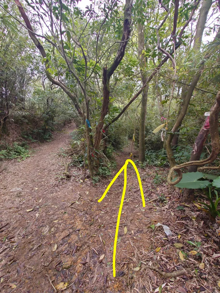 走黃色箭頭，不要走左邊的路徑，左邊是高壓電塔保線路，到不了南榮山