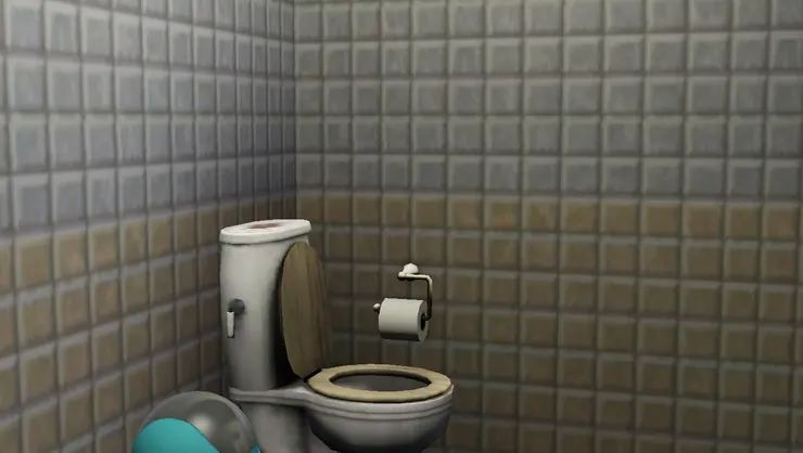 馬桶很是普通，但一定會有廁紙。