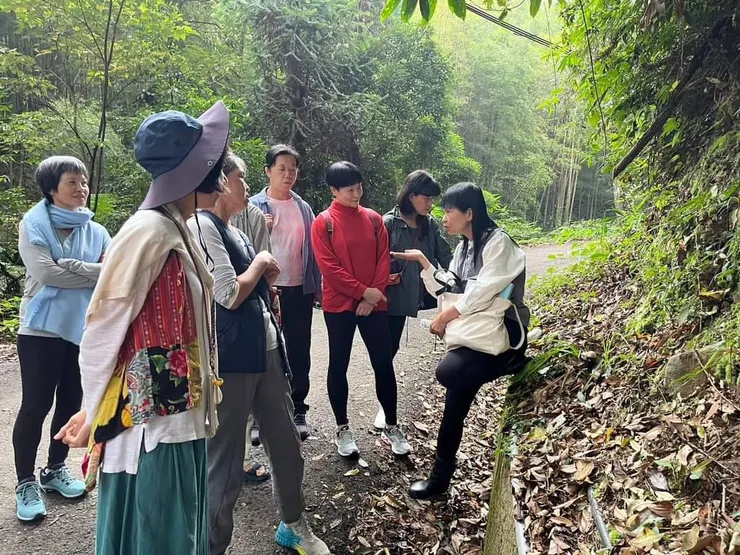 在山林裏漫步，學習前人與山林共生共好的智慧