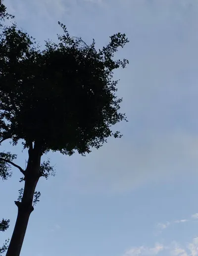 真正的禮物不是挫折本身，是轉念的自己