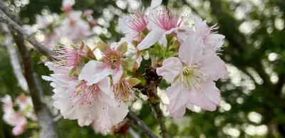30女子好生活沙龍