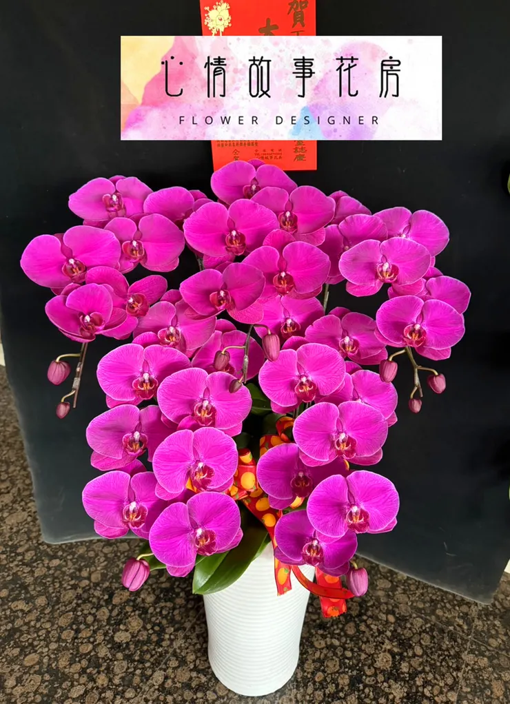 台南花店 心情故事花房 台南送花 台南蘭花專賣 台南盆栽推薦 台南花卉批發 台南企業花藝供應 台南醫院花束 台南花藝設計 快速送花服務 台南花藝推薦 優質花店服務 台南便宜花店 花卉配送台南 台南花店推薦 台南鮮花速遞 台南企業指定花店 台南花店電話 花藝佈置台南 台南機關指定花店