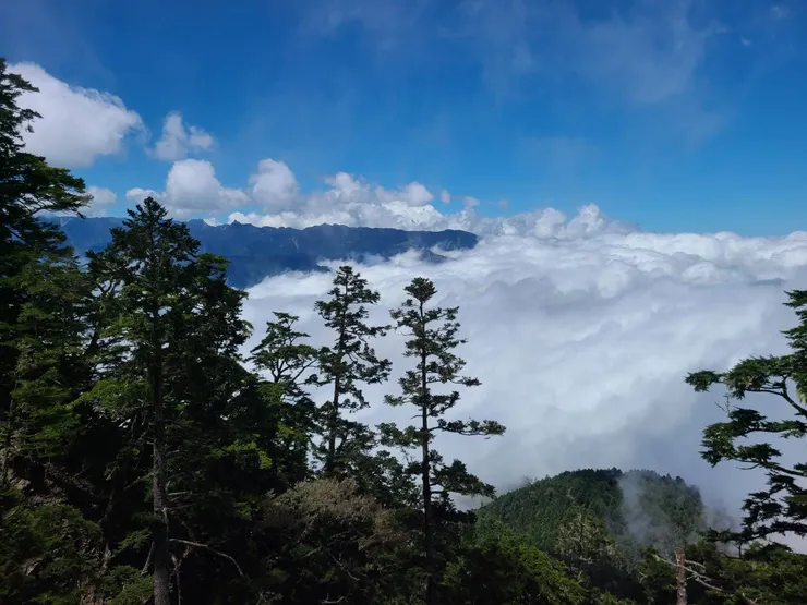 雲層很厚,那一區應該可能會下雨