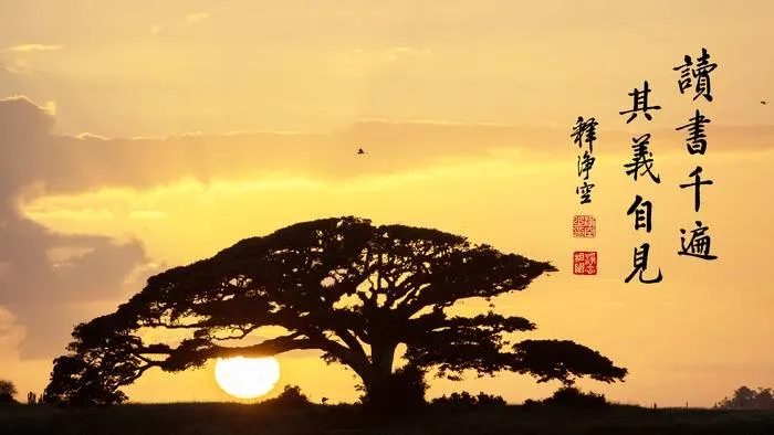 讀得多心淨，心清淨了，清淨心能開悟。讀多了，道理就顯了，就悟了，就有悟處。