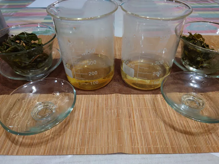 找「茶」的實驗精神，右前世，左臺灣