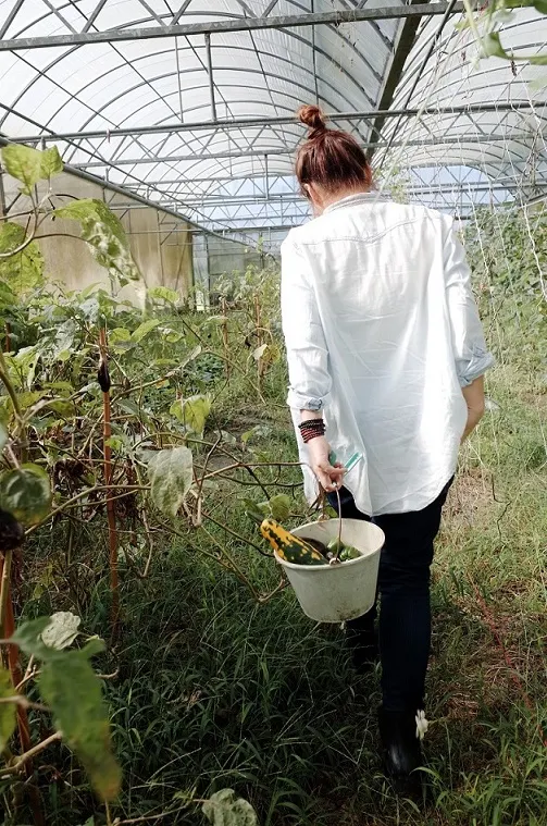 你的走肉朋友 Your Vegan Friend – Cathy Lee