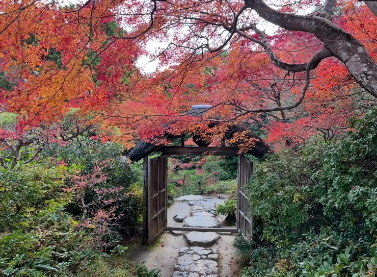 很喜歡這個畫面