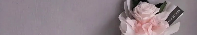 茉茉是隻貓的沙龍