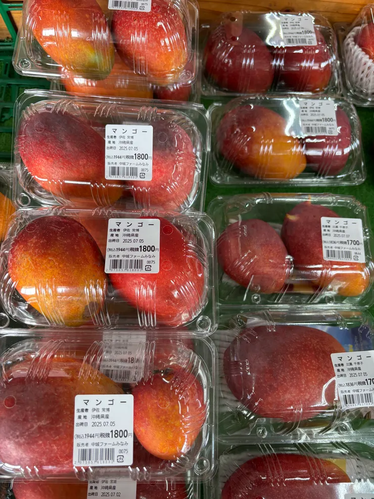 超貴的芒果（便宜的芒果超小的）