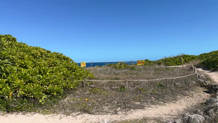 據說這裡就是創世女神最初降臨的地方！！