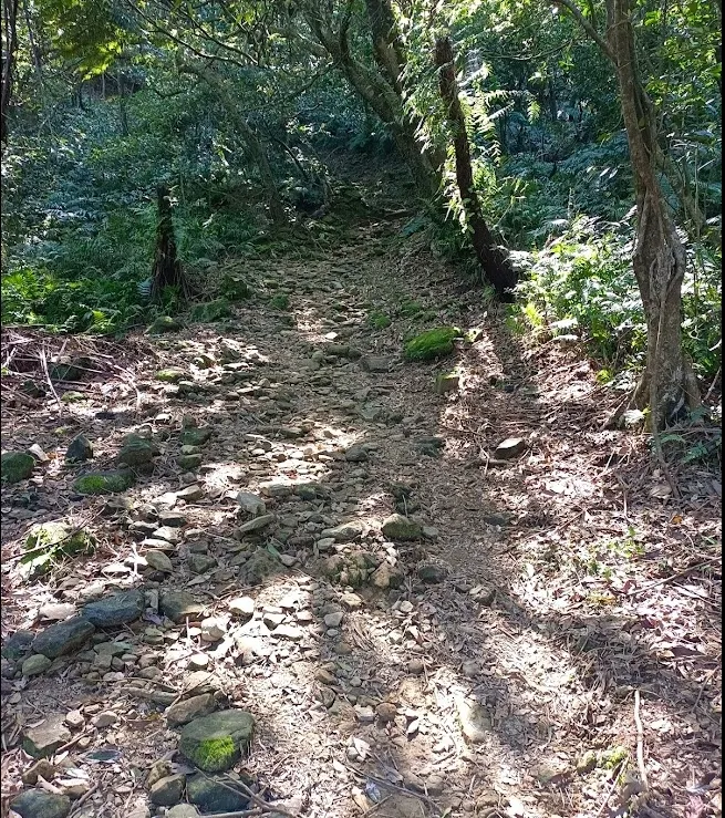 【雙北遊】三貂嶺瀑布步道走到猴硐｜中坑古道×柴寮古道  猴硐