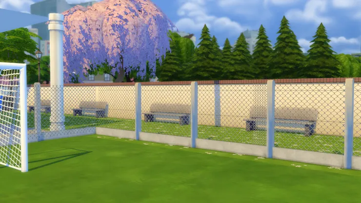 聽說這裏不時坐了女同學為英勇的球員打氣！小麥可好像有很多粉絲...