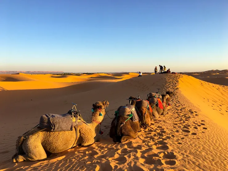 圖片來源：上下游新聞