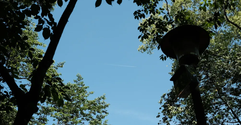 十字路口曬太陽的沙龍