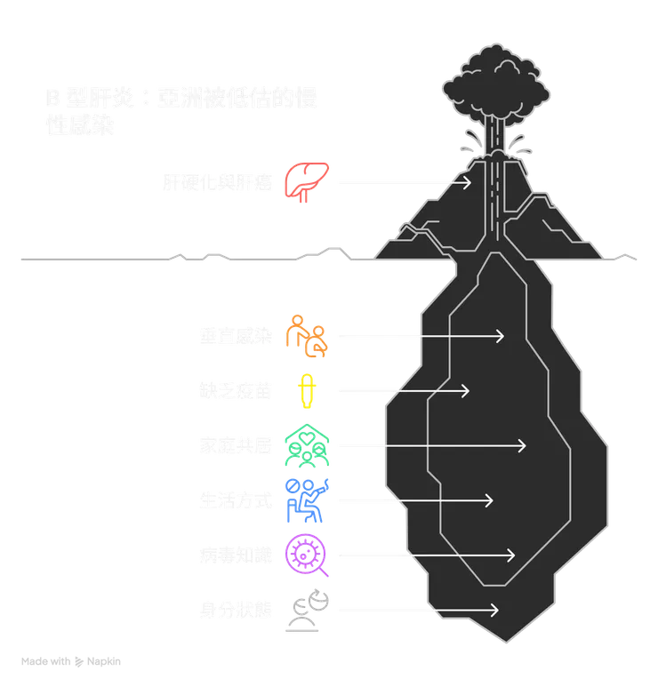 B型肝炎病毒介紹大綱