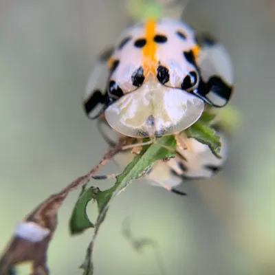 在我們週遭隨緣隨玩隨筆分享自然萬物的趣來趣事