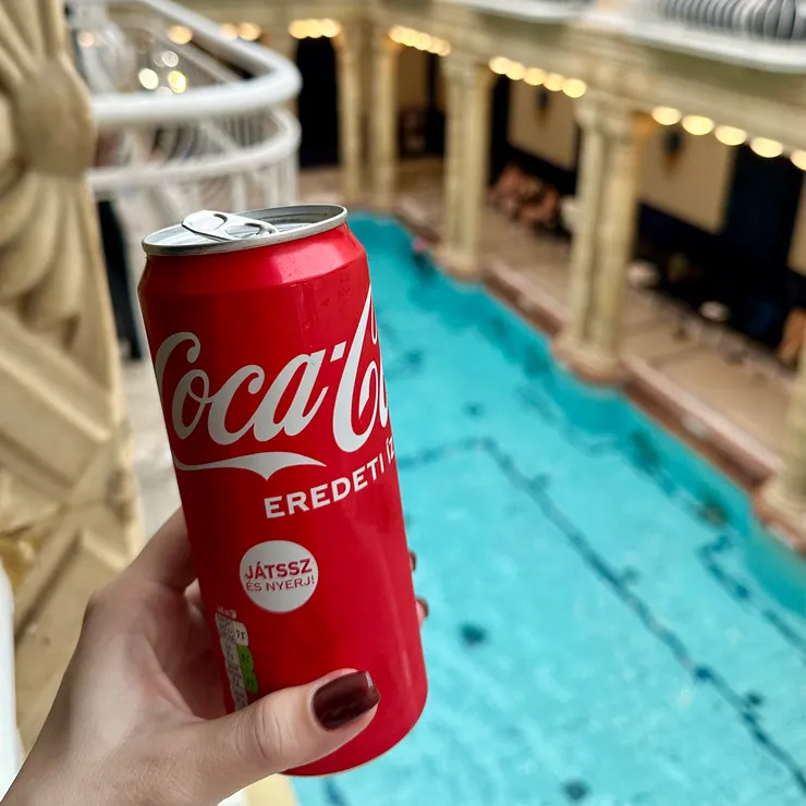 裡面都很貴，本次超貴的可樂