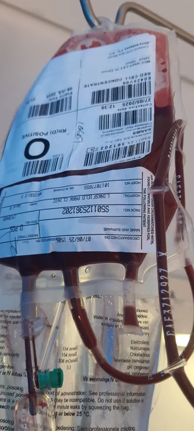 正式成為吸血鬼