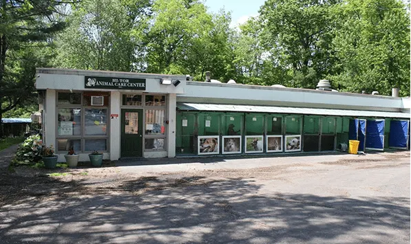 公立流浪動物之家