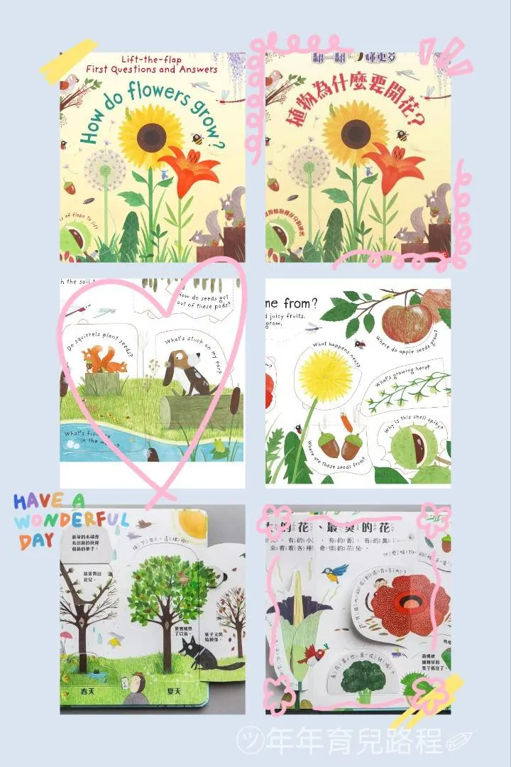 植物為什麼要開花(How do flowers grow)