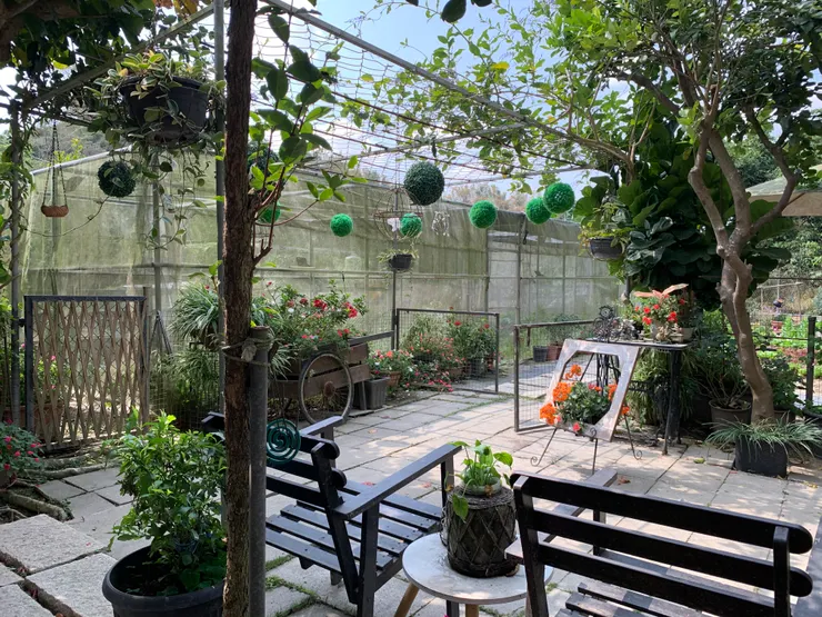 通往小菜園的歡迎之路