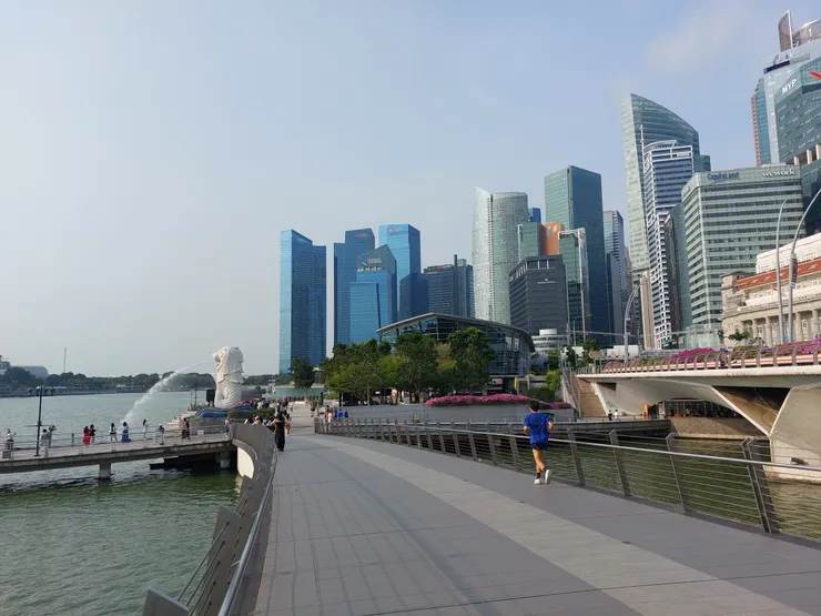 橋上往回看的景色，蠻多人早上在路跑的