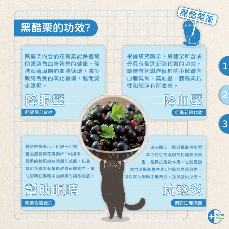 黑醋栗有哪些功效?