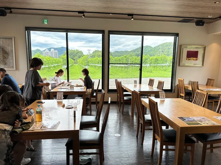 餐廳窗外就是一大片葡萄園