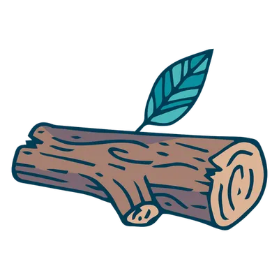 Jsnn's Logs