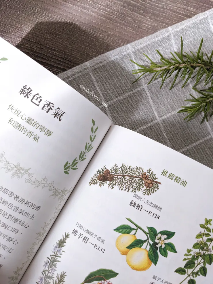綠色香氣與推薦精油