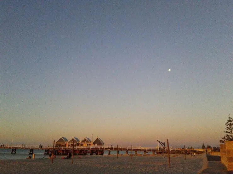 西澳，我們在日落之前看到了像小狗一樣活潑的魟魚