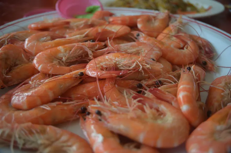 Nikon Z6 35mm 微距模式 ISO 220 1/60s F好吧我真的懶得記