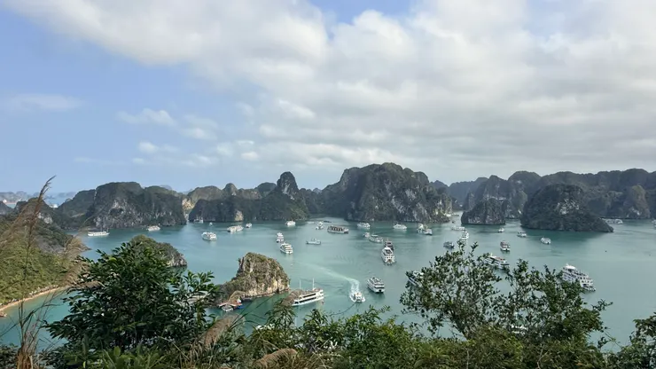 很多遊艇停泊的下龍灣