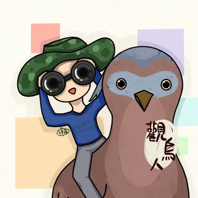 觀鳥人