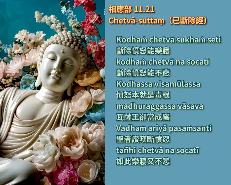 佛陀法語 | 斷除瞋心得安樂