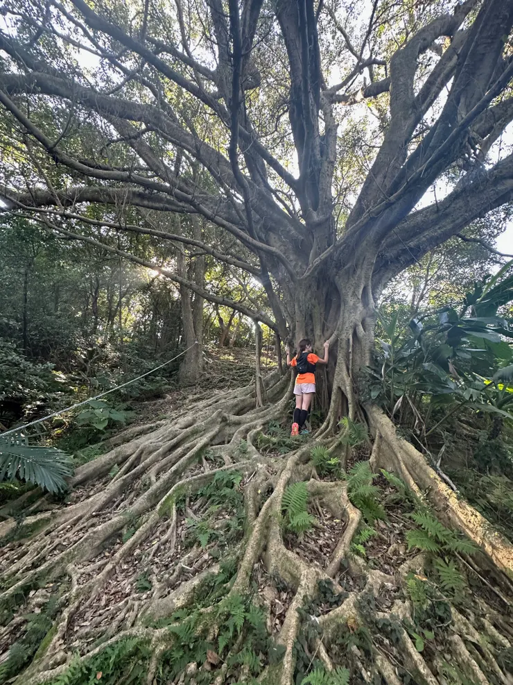 醫師離世的四天，我們上山練跑想念醫師