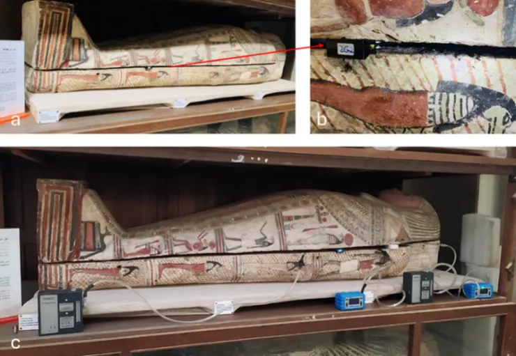 圖片來源：請詳文末引用