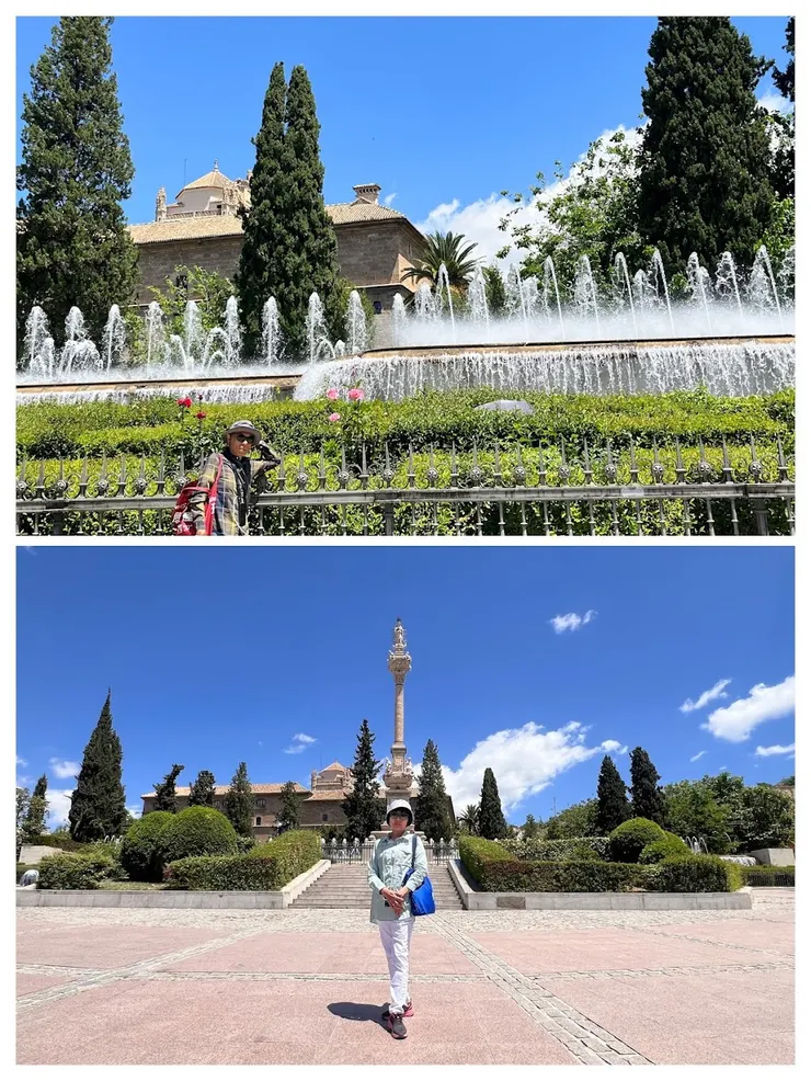 從勝利花園就能看到皇家醫院