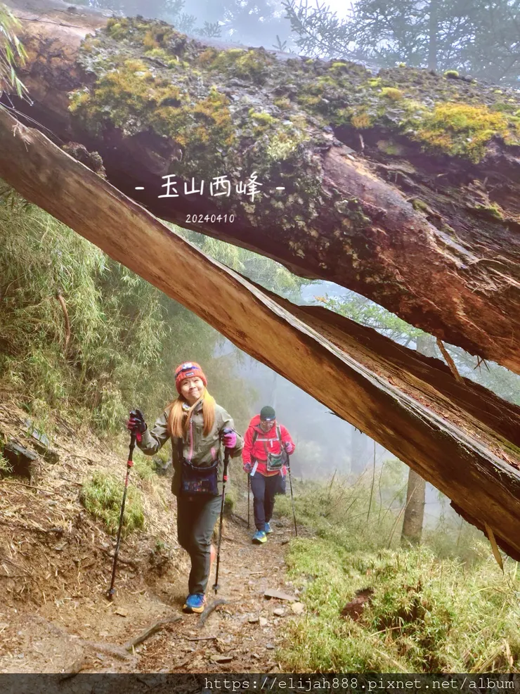 【玉山主峰西峰.兩天兩夜】排雲山莊-玉山西峰/玉山西峰神祠(