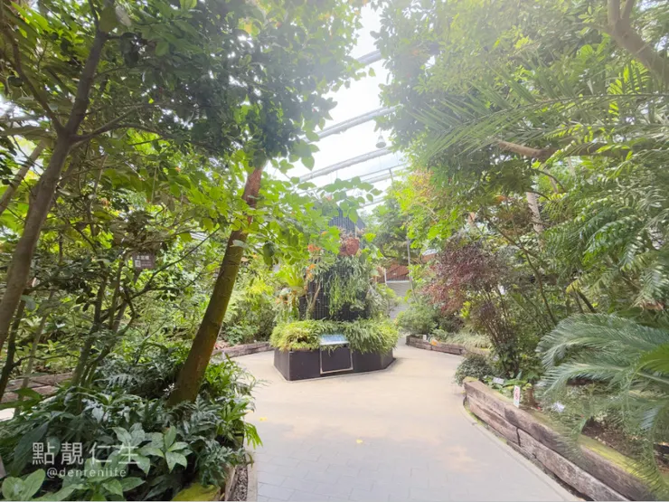 台北典藏植物園｜一踏入的半戶外區（有頂篷 有微微冷氣）