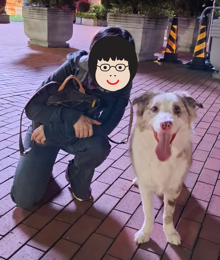 廣場(未來)動物明星