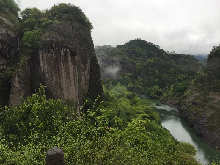 圖片來自Pinterest 