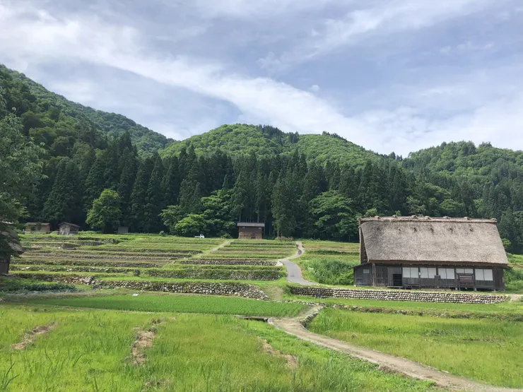 梯田景色