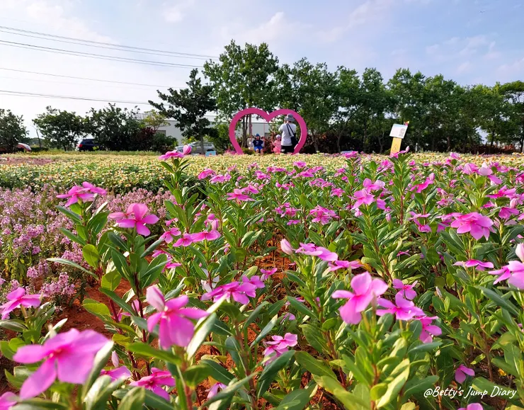 ▲2024桃園蓮花季/圖片來源:Betty's Jump Diary