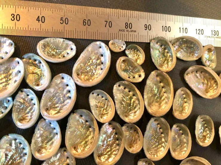 圖片來源：海の博物館Toba Sea-Folk Museum【公式】