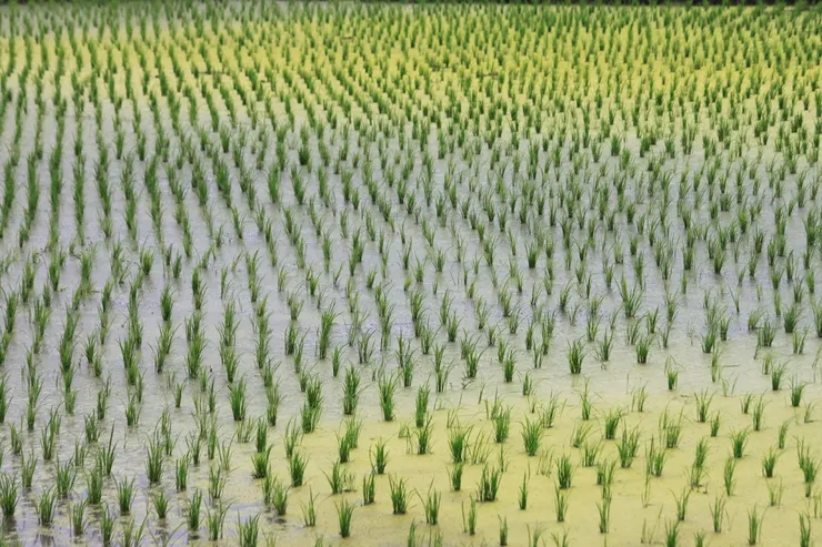 不是塞滿，而是清空。秩序與空白，同樣重要。